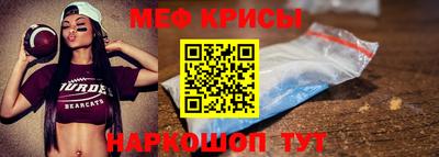 крисы Славгород