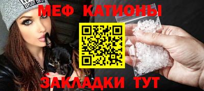 крисы Славгород