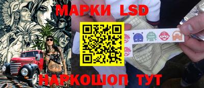 крисы Славгород