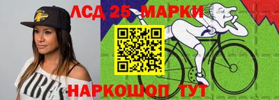 крисы Славгород