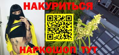 крисы Славгород