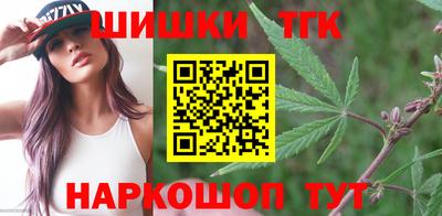 крисы Славгород